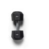 CENTR X HYROX Urethane Dumbbell 22.5 KG – slika 2